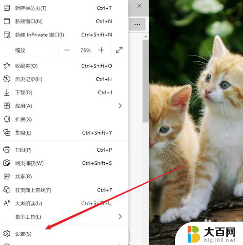 浏览器怎么设置页面调整? MicroSoft Edge浏览器如何修改页面打印设置