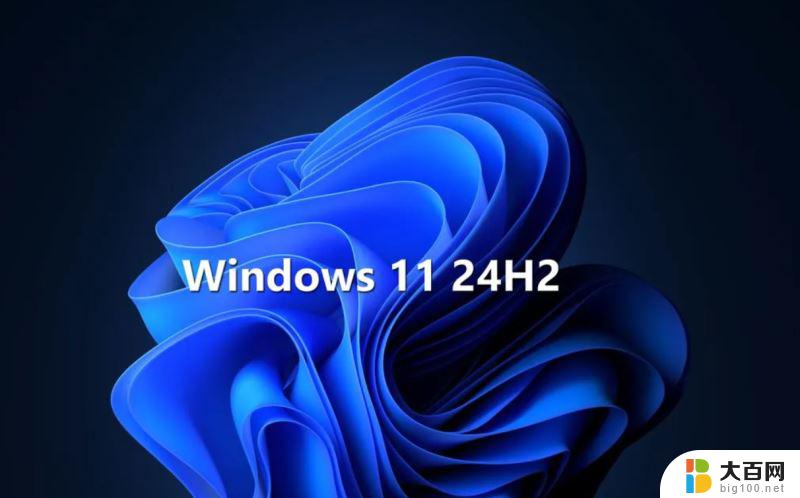 看图王 win11为什么安装不了 Win11 24H2 安装 9 月更新出现不支持操作错误