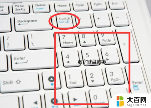 键盘怎么打开数字键盘 笔记本电脑数字键盘无法打开