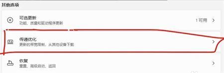 win11电脑传递优化可以关闭吗 Win11传递优化功能关闭教程详解