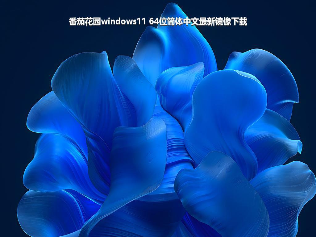 番茄花园windows11 64位简体中文最新镜像下载