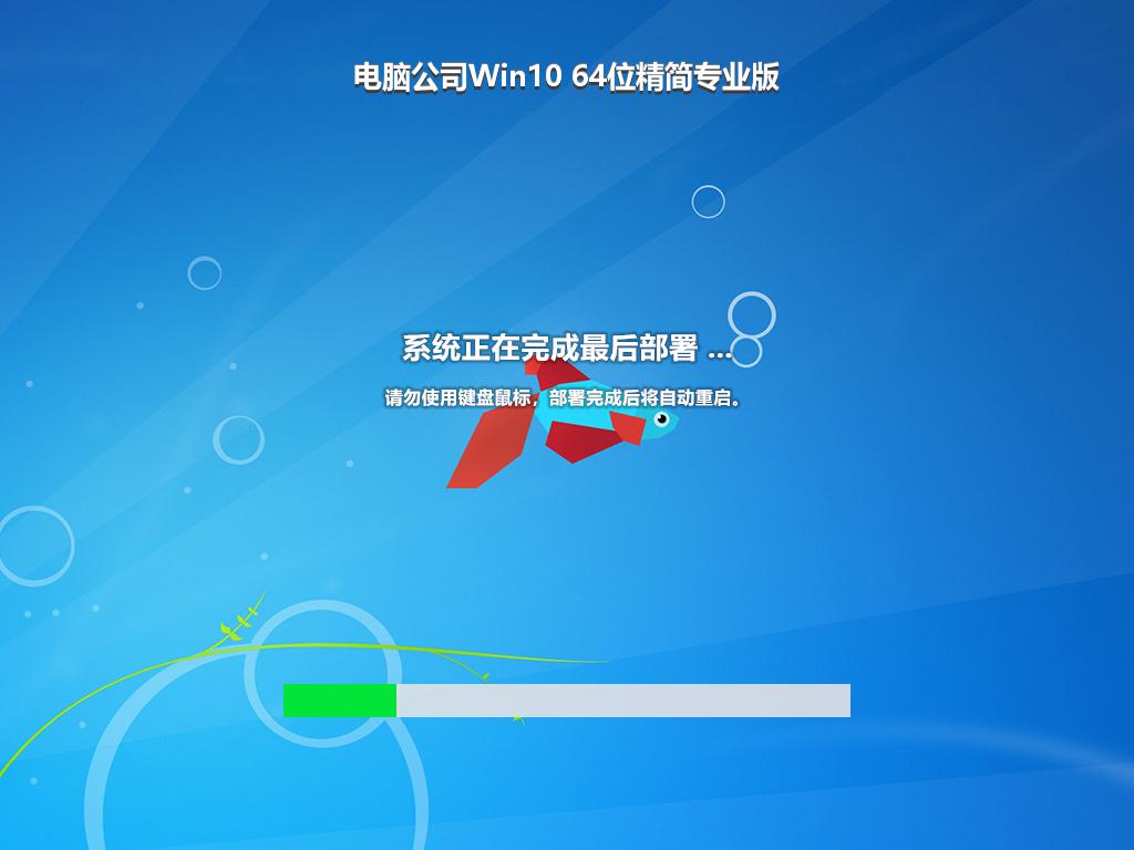 电脑公司Win10 64位精简专业版