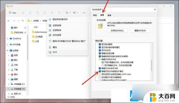 windows11后缀名怎么显示 Win11文件扩展名显示步骤详解