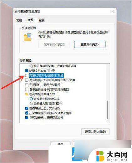 windows11后缀名怎么显示 Win11文件扩展名显示步骤详解